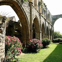 Abbaye de Beauport en Bretagne en baie de Paimpol - Camping Domaine du Launay